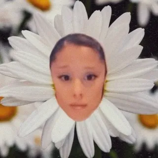 arianators ♡