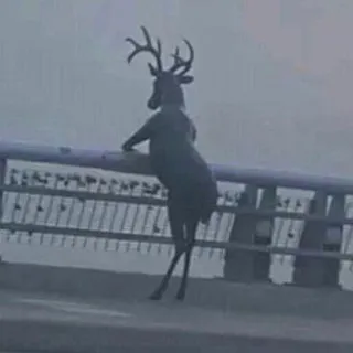 Аленьево