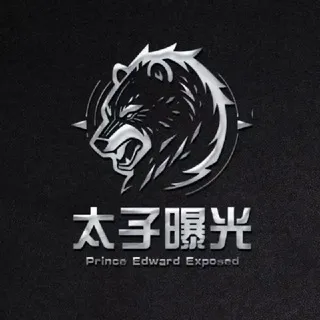 太子支付曝光｜海外华人交流群💥