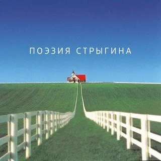 Поэзия Стрыгина