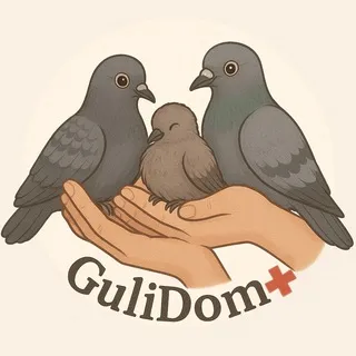 GuliDom ➕🕊