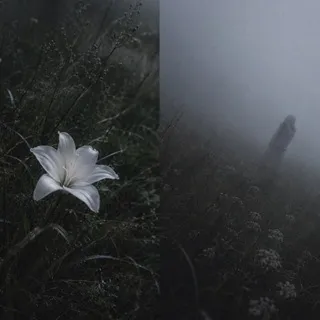 Веббсайд дат ком 🧟‍♂️