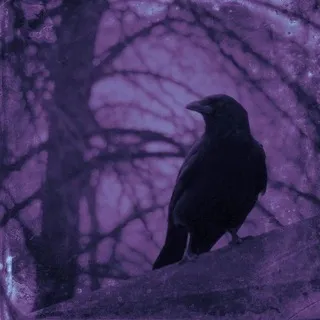 𓆩ΛͶϤΗΟξ ϺξѪ𑀐ሃϺͶϷᏏξ 𑀝Β𐍉ӠͶ 𝚋𝚕𝚘𝚐𓆪 [ремонт | набор в админы | Event ]