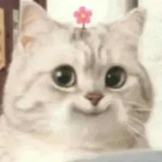 ꮺ°˖⌗𝑮𝑶𝑶𝑫 𝑭𝑨𝑻𝑬ˡⁱᶠᵉ!⌗𖦹‌۫‌𝅼 ˖