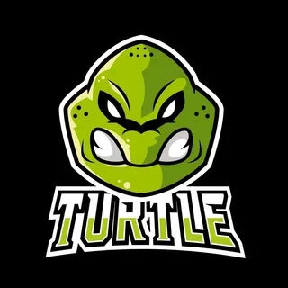 Turtle Moon