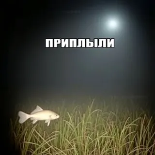 Ебучее сборище недохудожников