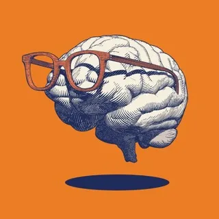 🧠 CURIOSITY 🧠