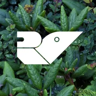 Repubblica Verde