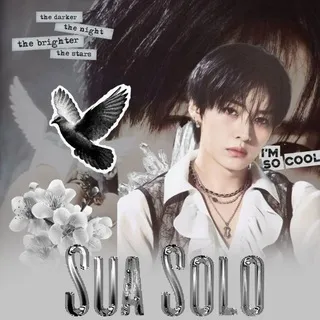 ☁︎⋆𓆩Sua Solo𓆪⋆☁︎