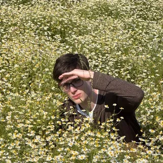 Хайдучий лес