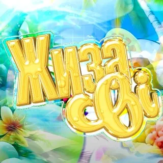 ЖИЗА ОИ