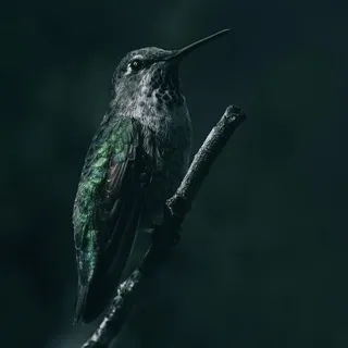 @𝖪𝗎𝗌𝖺𝗇𝖺𝗀𝗂