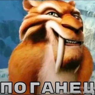 [МЕГА РЕСТ]_{КРЫСЁНЫШ}_