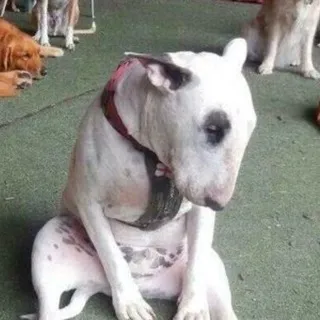 ಠ⁠◡⁠ಠ