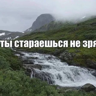 °Gribysh°