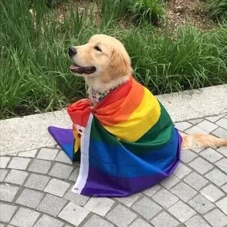 Поддержка и помощь🏳‍🌈🏳️‍⚧️
