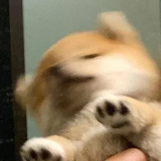 щп безона нет