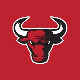 FutuBull USA