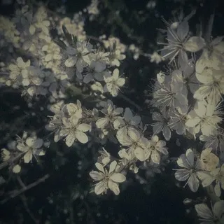 ❕Ꮋᴇᴛ ᴄиᴦнᴀᴧᴀ ⁖٭ || 𝐓𝐰𝐢𝐭𝐜𝐡