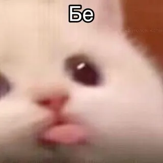 🦋касатя кормит🦋