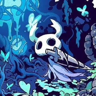 Hollow knight cf