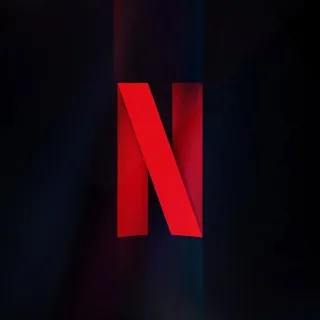 Netflix Bot