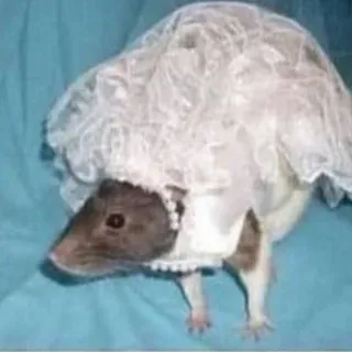 Мышъ и пьянчужка