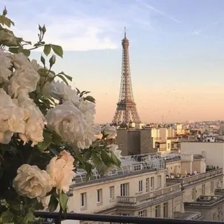 🇫🇷 France confession 🥐