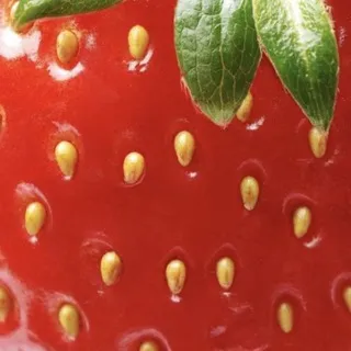 нелли