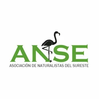 Actividades ANSE