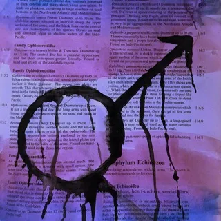 переходник trans men confession