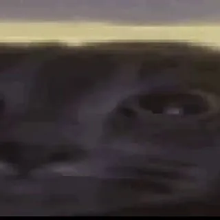 Сиделки Шдхд