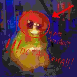 О4кастый