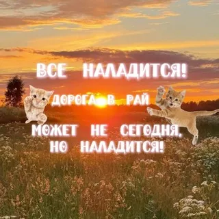 Ⲓⲛϝⲟʀⲙⲁⲧⲓⲟⲛ: ⲇⲟⲣⲟⲅⲁ ⲃ ⲣⲁύ
