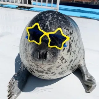 содазлания