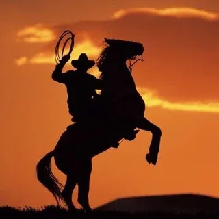 CowboyW2B [FAKE]
