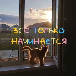 ♡❔любимка❔♡