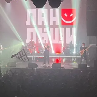 ЛАНДЫШИ