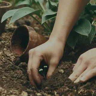 [НАБОР АДМ] .ᐟ.ᐟ ᗷOTᗩᑎIᑕ ᑕOᑎᖴESSIOᑎ