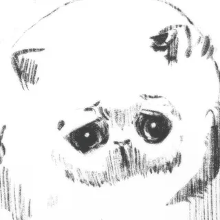 KDYTY