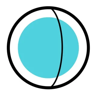 shape and line