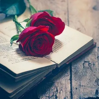 Prosa & Poesia