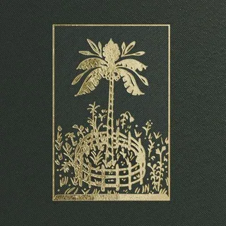 Пальма в северном саду 🌴