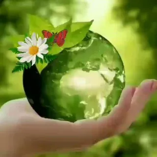 𝐅𝐋𝐎𝐑𝐄𝐒.𝐂𝐎𝐌