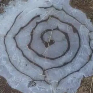 1 1 *