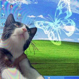 пульс*