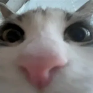 ШведВыключено