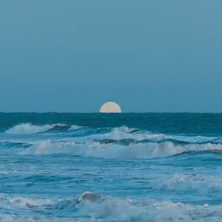 море в груди