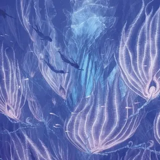𝑺𝖺’𝖾𝗒𝗋𝖺 𝑺𝖺𝗂𝗅𝖾𝗇𝗒𝖺 : 𝗂𝗇𝖿𝗈