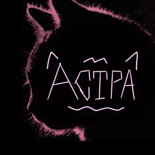 🎪Астра🎪(づ｡◕‿‿◕｡)づ